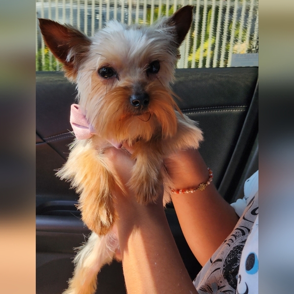 ♡♡ LIVE NOW ♡♡ - Picture 8 of 17